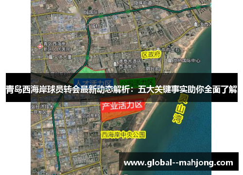 青岛西海岸球员转会最新动态解析：五大关键事实助你全面了解