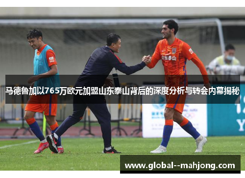 马德鲁加以765万欧元加盟山东泰山背后的深度分析与转会内幕揭秘 马德鲁加以765万欧元加盟山东泰山背后的深度分析与转会内幕揭秘